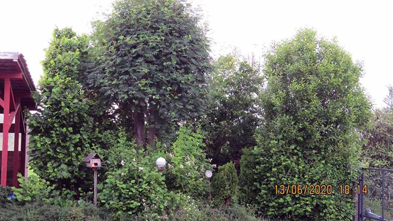 Casa Roja Villa Hilders Buitenkant foto